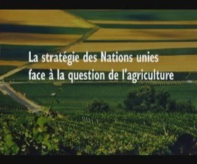 La stratégie des Nations unies face à l'agriculture