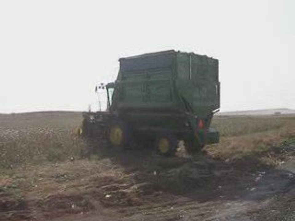 jd