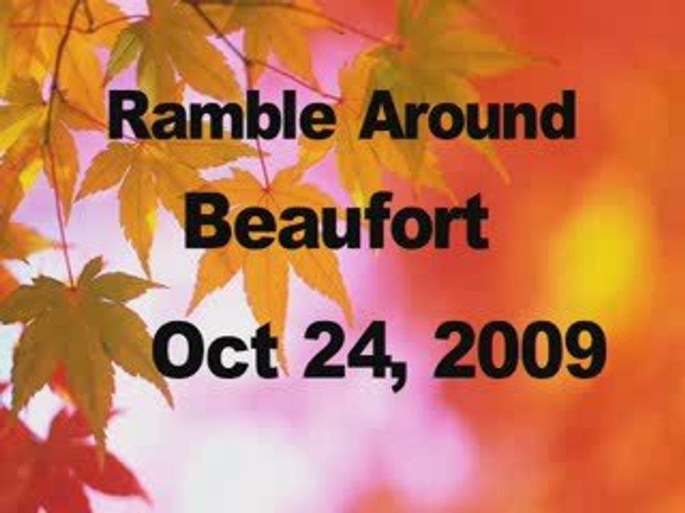 South Carolina Events and Festivals 4309