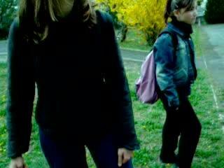 Les oiseaux se cachent pour mourir! lol