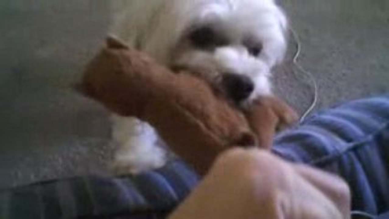 I WILL Get You!!