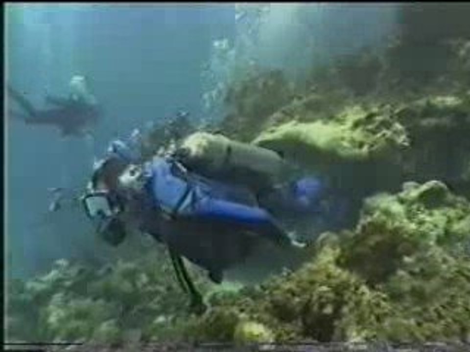 Dive Belize Scuba-Explorers.com, Leslie O'Neill