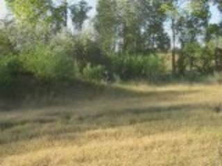 CLIP0021