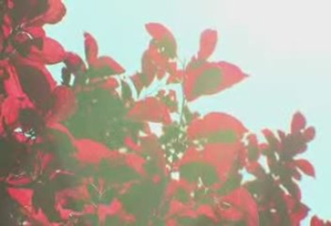 Craig Walker Summertime Ephélie TV