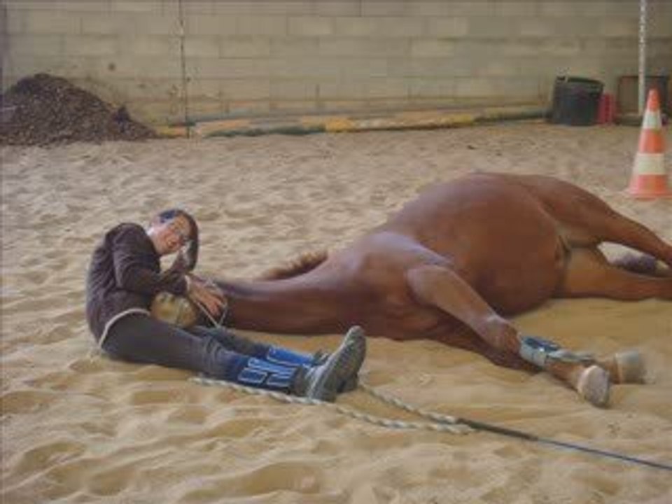 Travail éthologique & monté 17.10.09 et 18.10.09