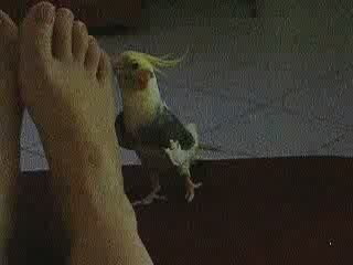 Mica siffle les filles et la Marseillaise