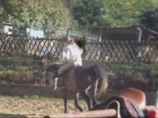 Ramsès 19 octobre 2009