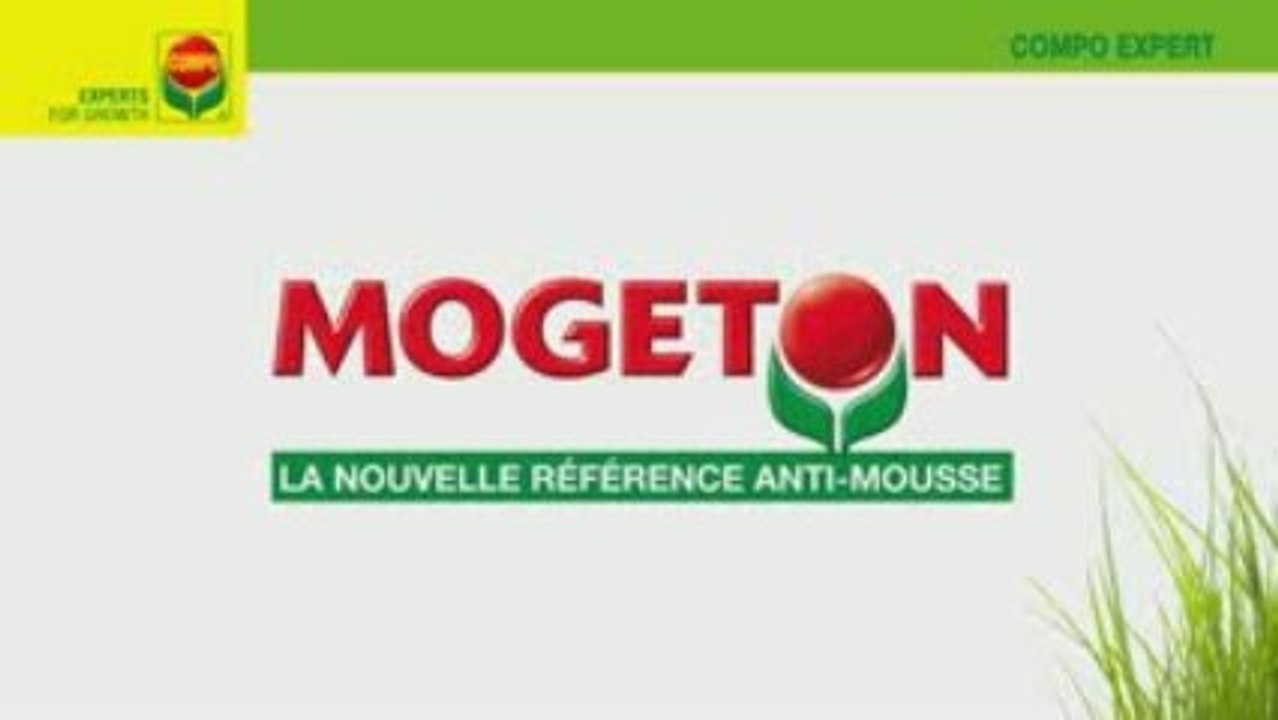 COMPO - MOGETON vs Marchantia Polymorpha et mousses gazons