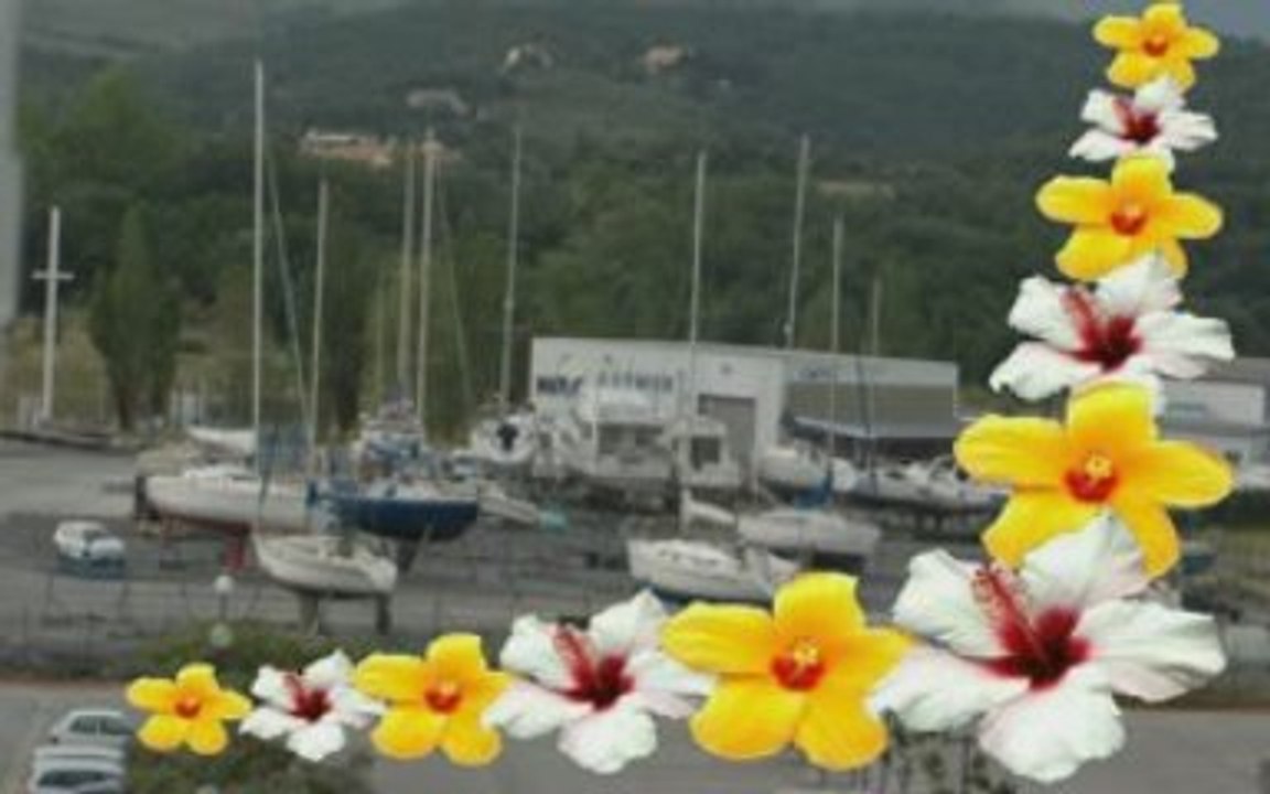 MOVIE_01_1 vacance a port argeles