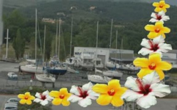 MOVIE_01_1 vacance a port argeles