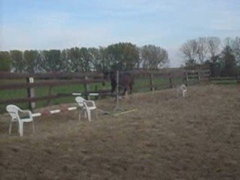 Chopin saut en liberté 1M30