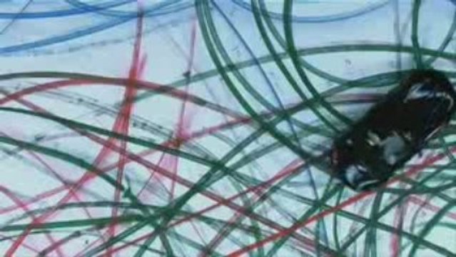 Lotus Exige Scura, Vermot Veritas RS III Roadster, The ...