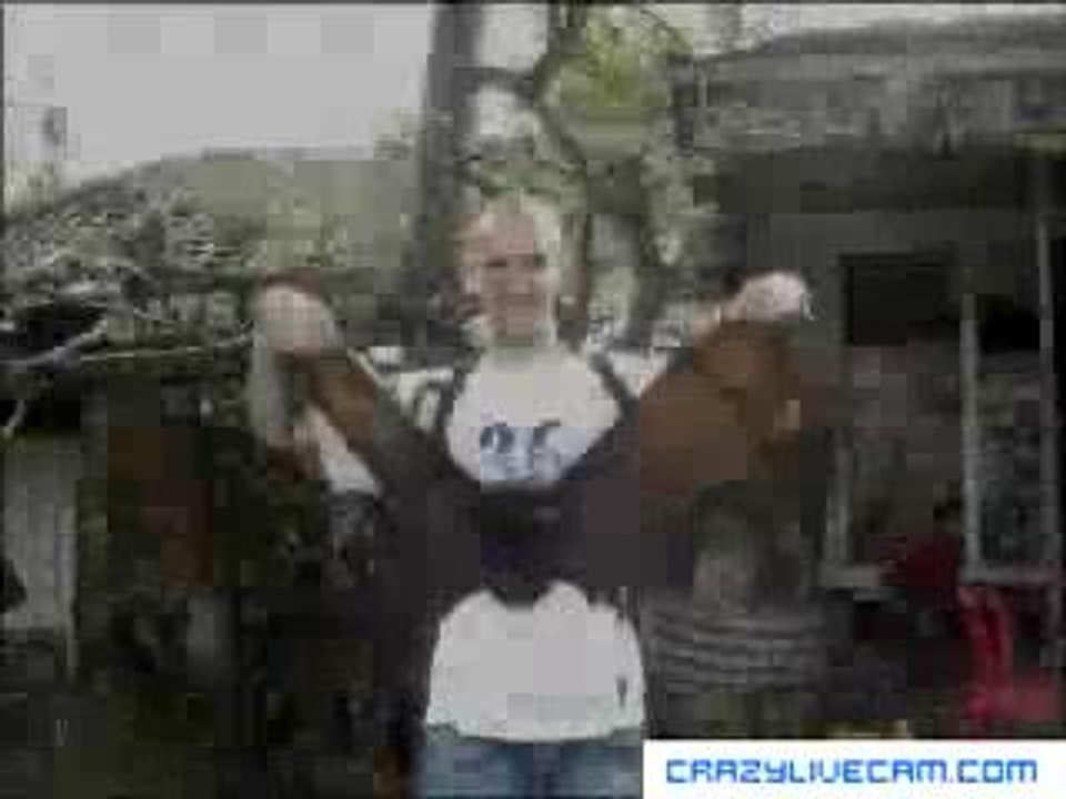 Chauve souris geante !