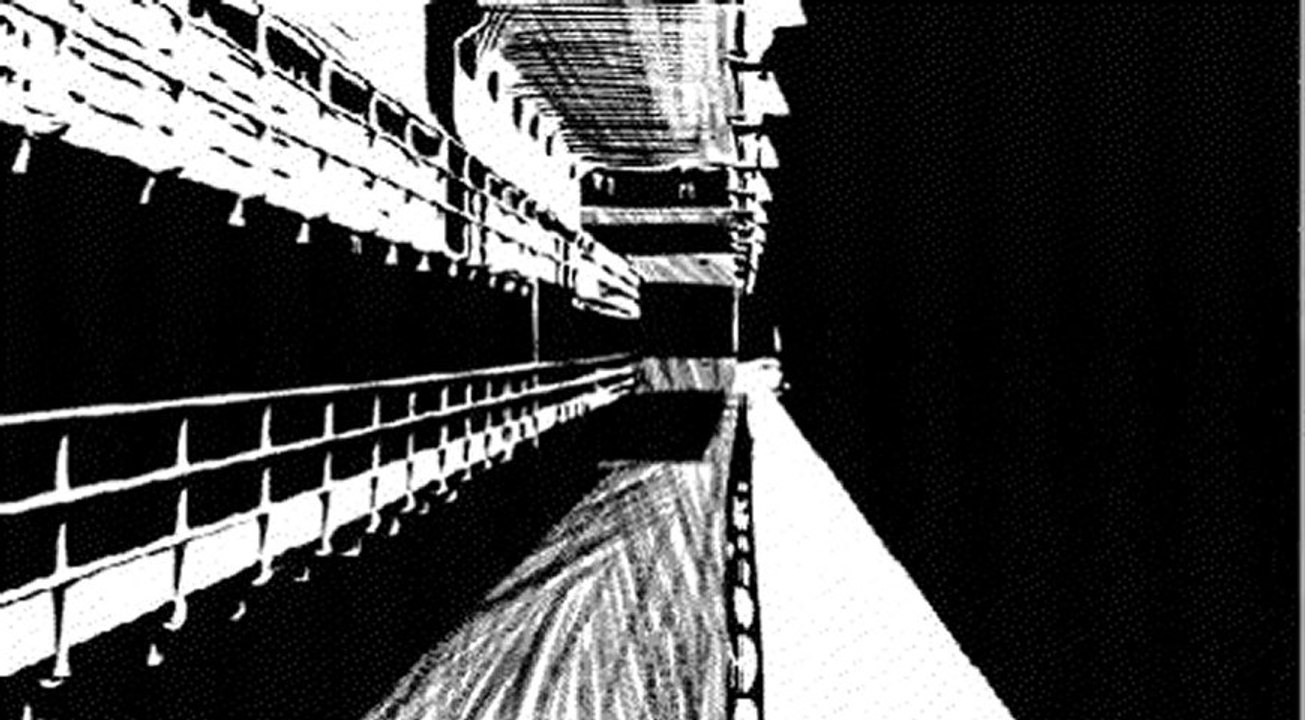 Project : Pelican (jeu de rôles)