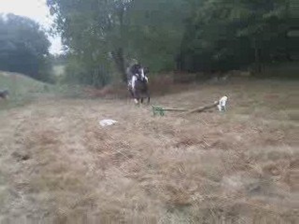 saut obstacle