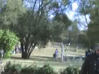 justine cross club 1