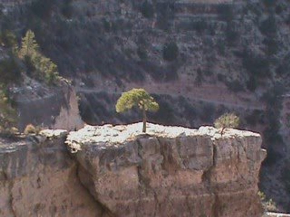 Grand Canyon