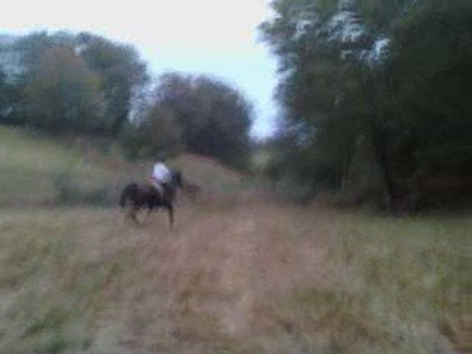 saut