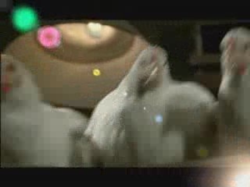 REMIX PUB LE GAULOIS