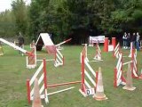 Atlas et Fredo - Concours Agility Saulx les Chartreux