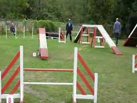 Atlas et Fredo - Concours Agility Saulx les Chartreux