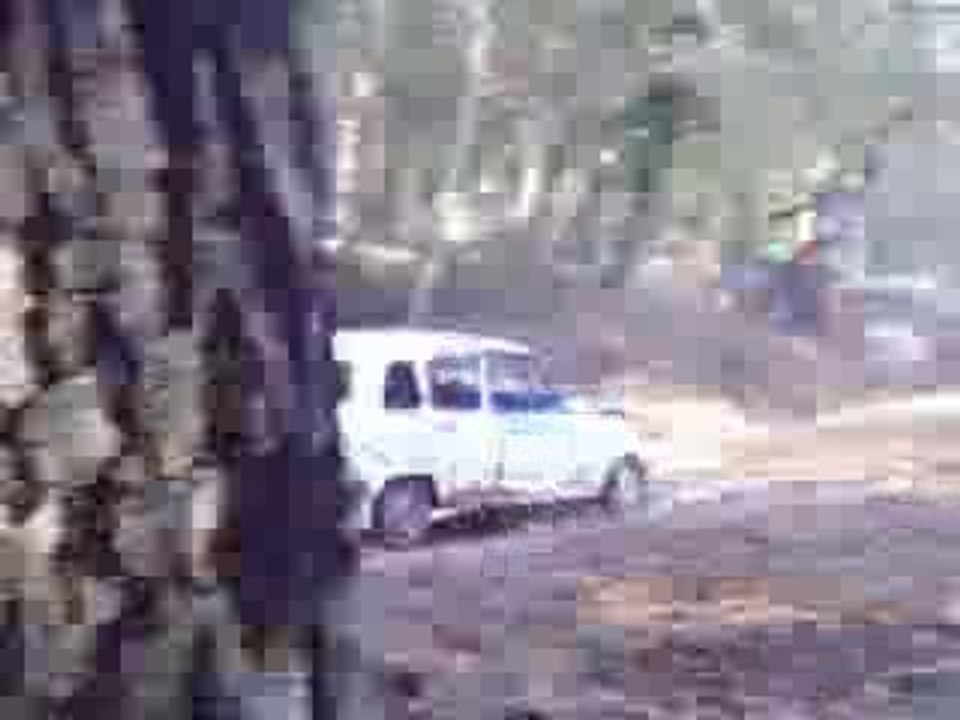 carousselle d ablon 2009