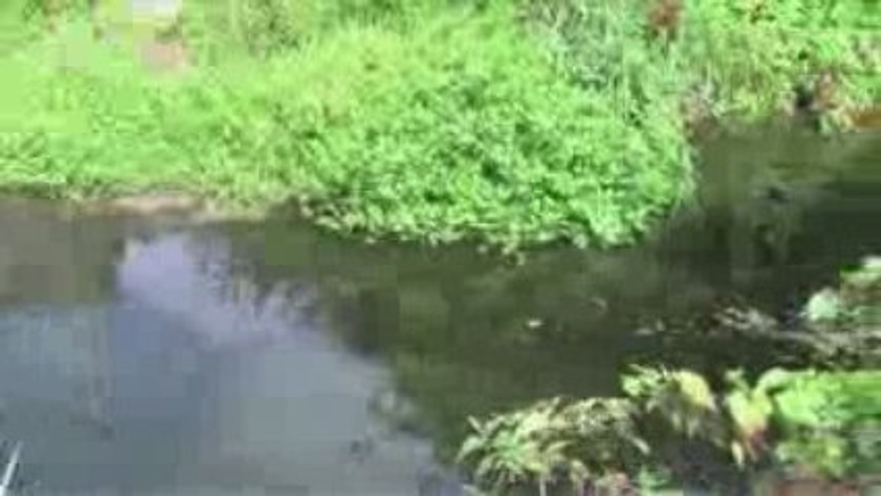 Moby - Mistake (Lemon Version)