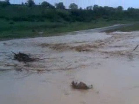 ferhadanlı köyü deresinde sel felaketi