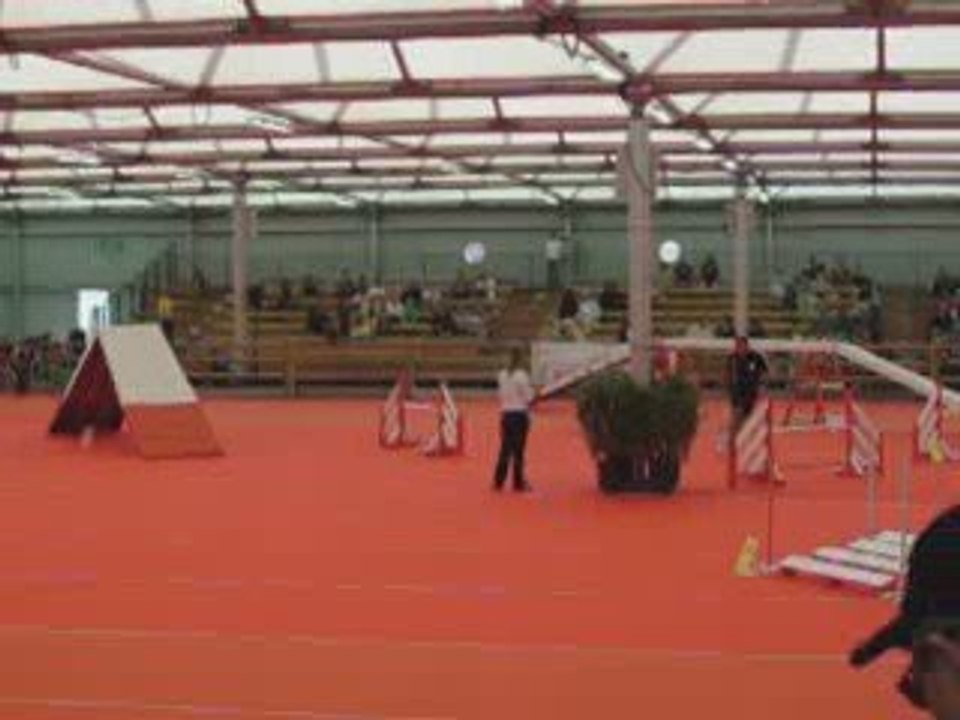 agility juve avignon octobre 2009