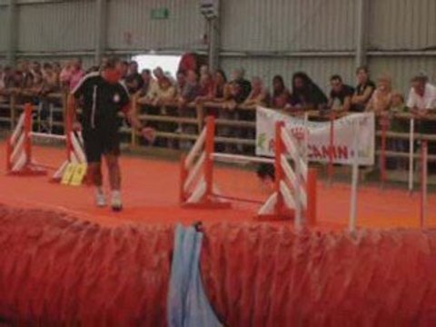 agility juve avignon octobre 2009