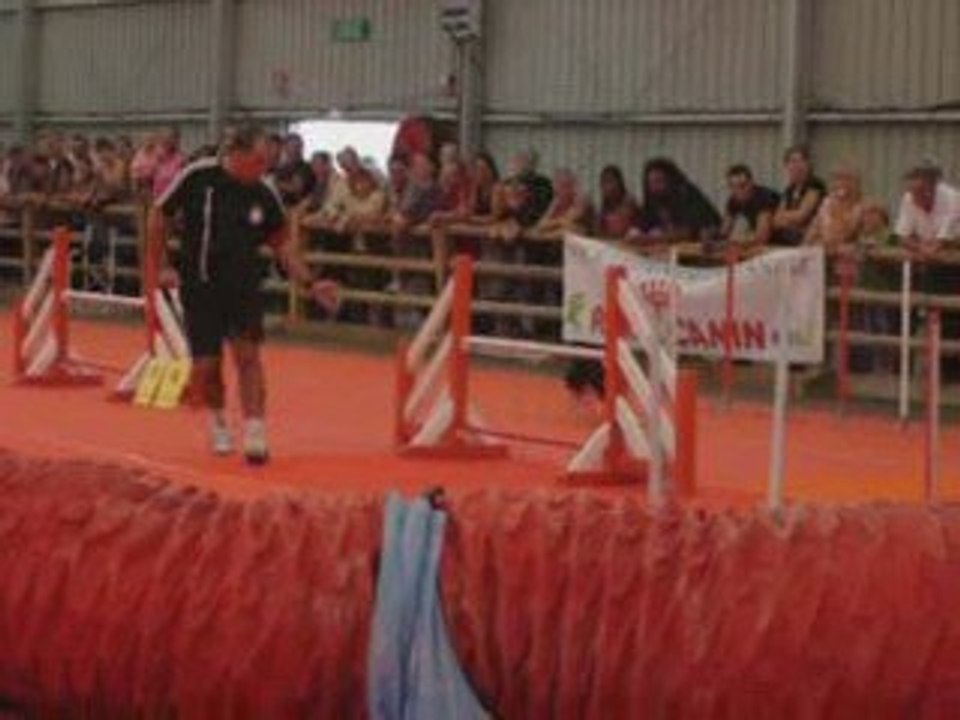 agility juve avignon octobre 2009