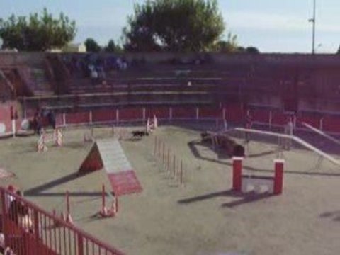 agility juve cabrieres 2009