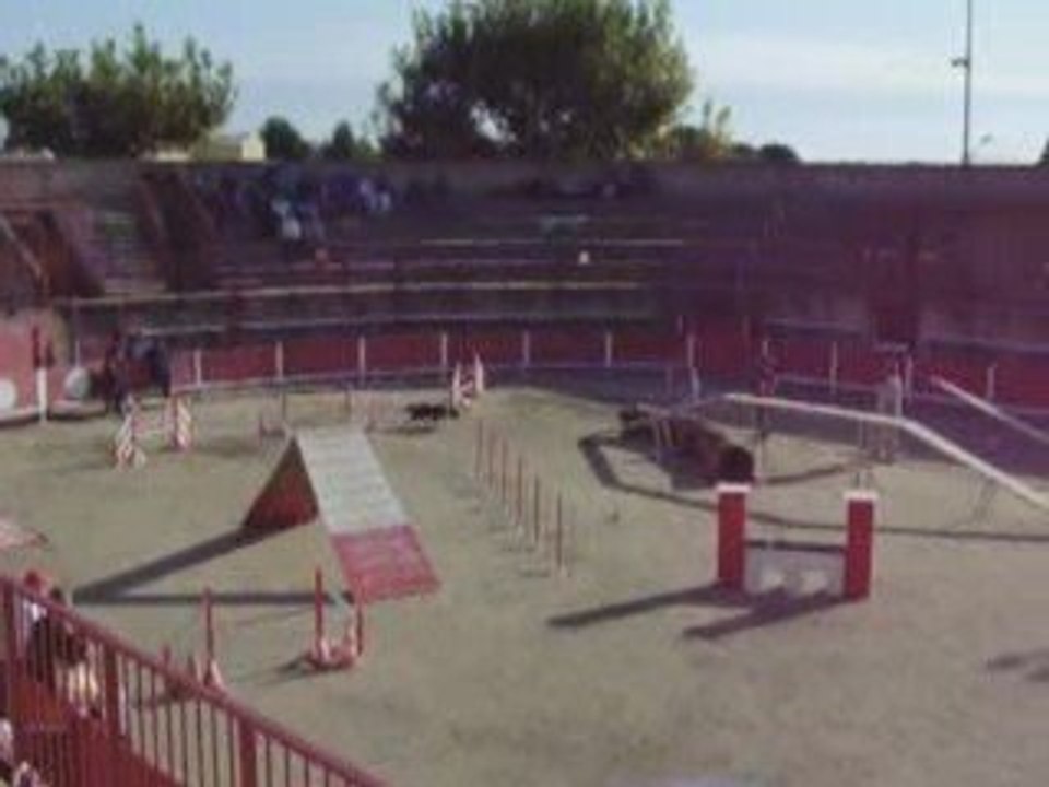 agility juve cabrieres 2009