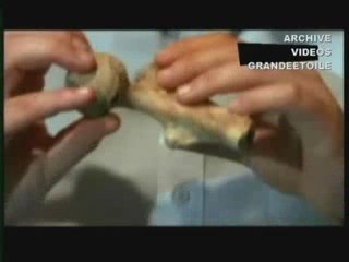 2x4 massacre royal chez les Mayas