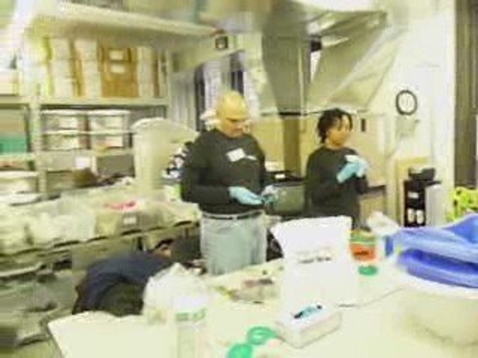 NY Cares Powerday