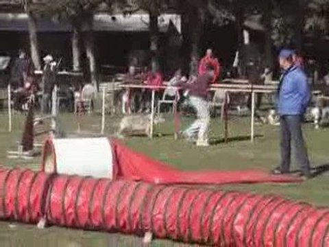 CDF australiens sorayab