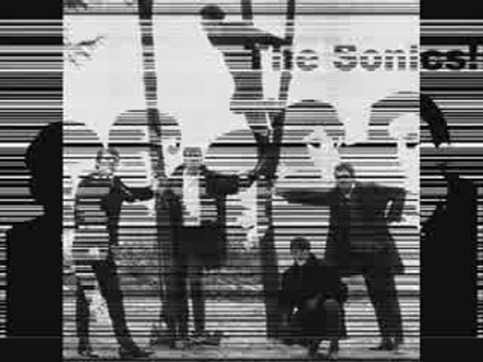 the sonics - have love will travel