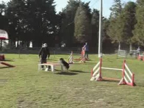 CDF australiens thémis