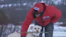 That's Mushing - Emil Inauen und seinem schlittenhunde