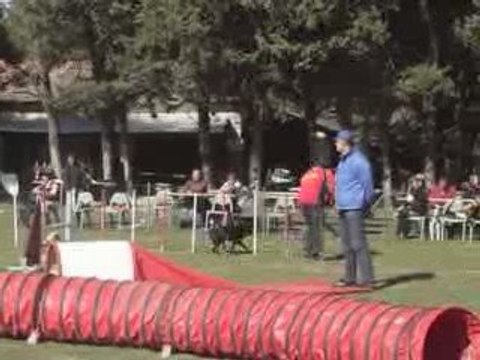 CDF australiens jump fabrice