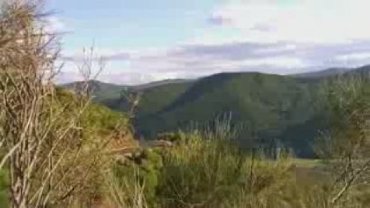 le Tavignano