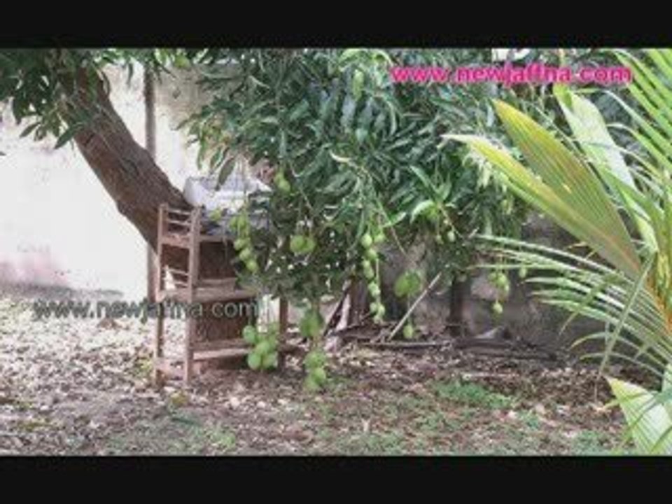 JAFFNA யாழ் ஞாபகம் 10