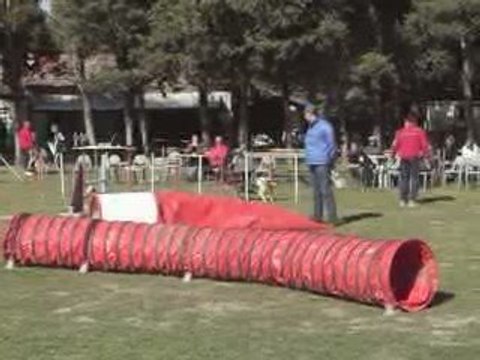 CDF australiens jump