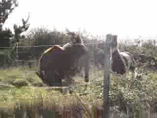 Elue et Mélisse YAHOU !!!!