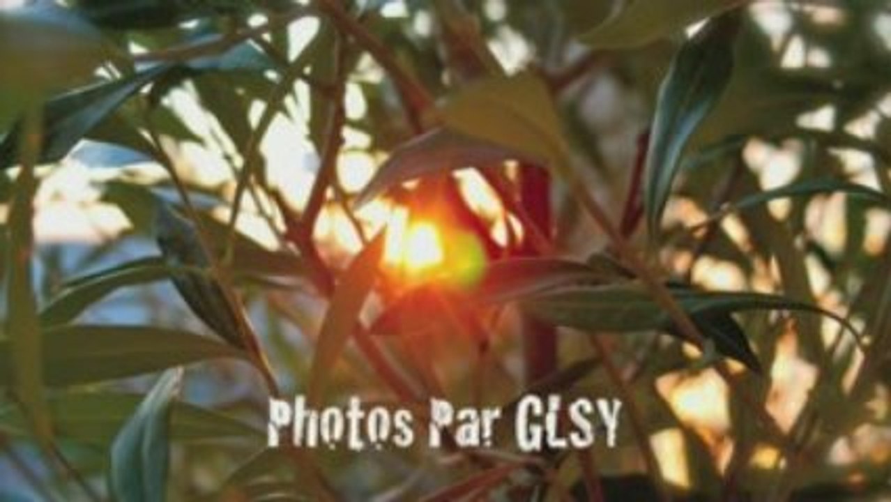 Diaporama De Mes plus Belles Photos !