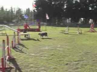 CDF australiens téquila