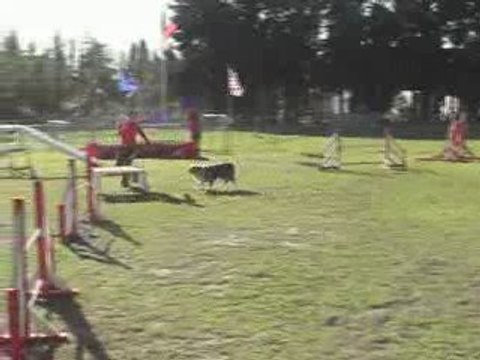 CDF australiens téquila