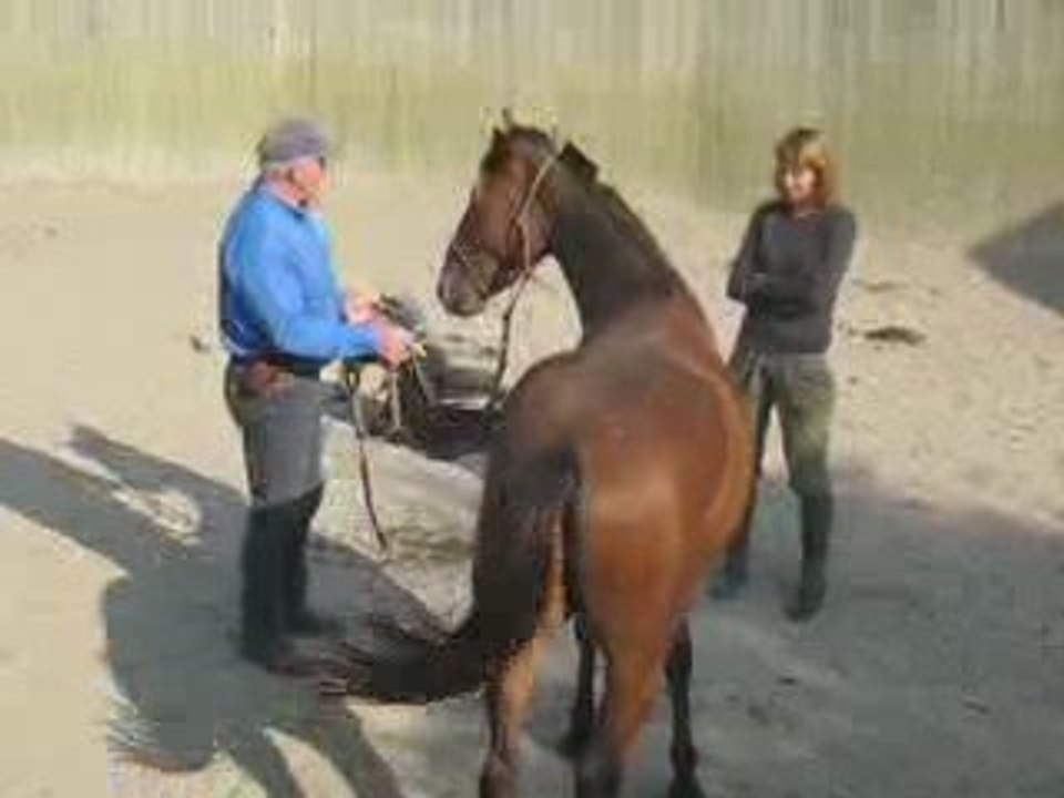 Débourrage éthologique Rolling