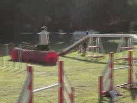 CDF australiens alexia