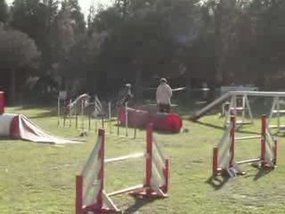 CDF australiens daniel mey